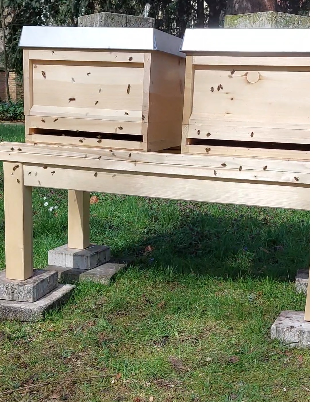 Unsere Bienen werden bereitgestellt von den Caritas-Betriebs- und Werkstätten (https://www.cbw-gmbh.de/de/Bienen_Support)
