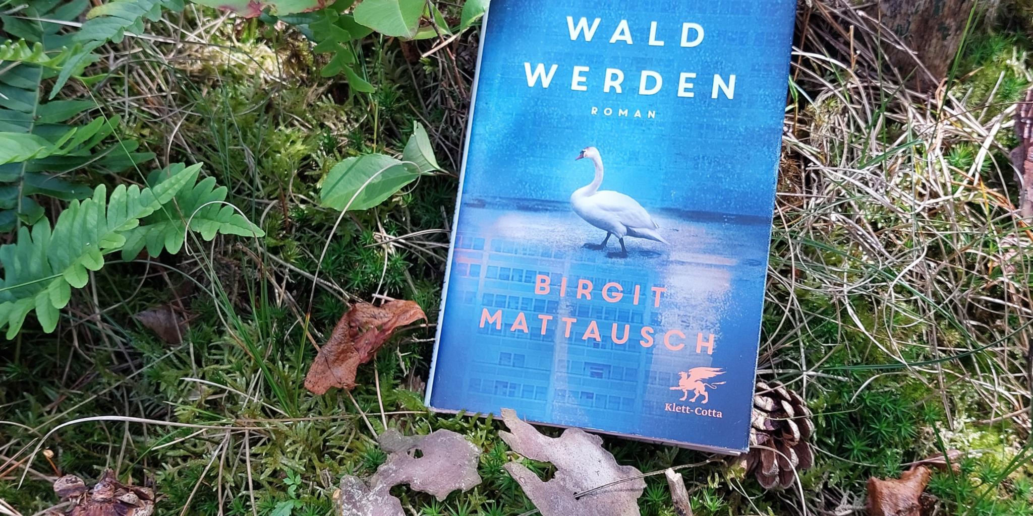 Buchcover 'Bis wir Wald werden' (Birgit Mattausch)