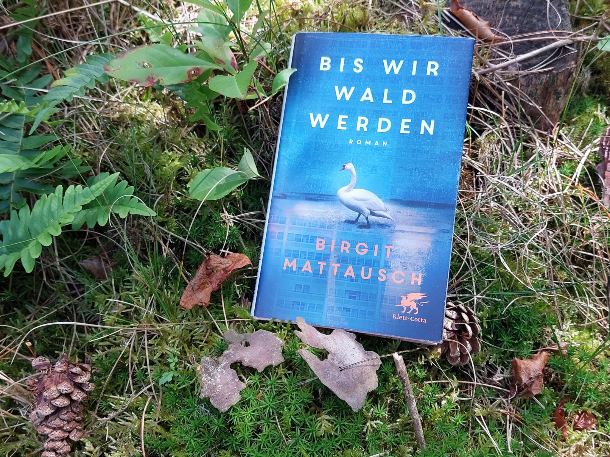 Buchcover 'Bis wir Wald werden' (Birgit Mattausch)