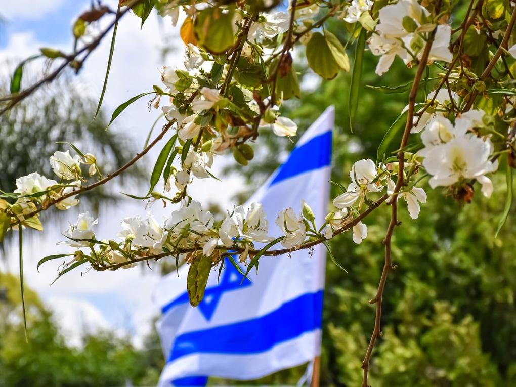 Flagge von Israel mit Zweigen