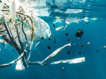 Plastik im Meer